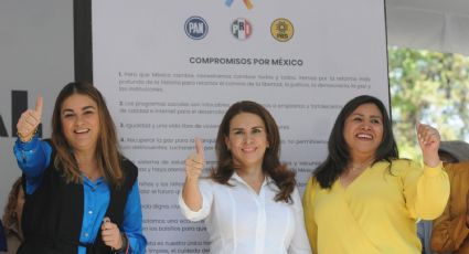 Carolina Viggiano: Proceso de Va por México utilizará recursos de partidos políticos