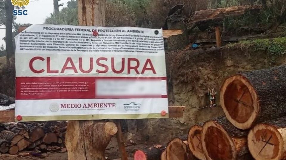 Desmantelan dos aserraderos clandestinos en la alcaldía Tlalpan.