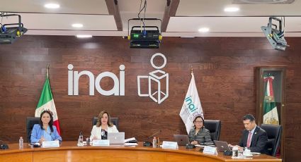 Blanca Lilia Ibarra: Dejar morir al INAI es renunciar a la democracia en México