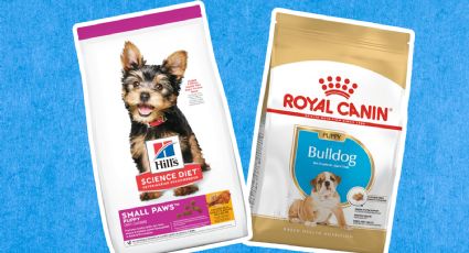 Hill’s vs Royal Canin: cuál marca de croquetas premium para perro es mejor, según Profeco