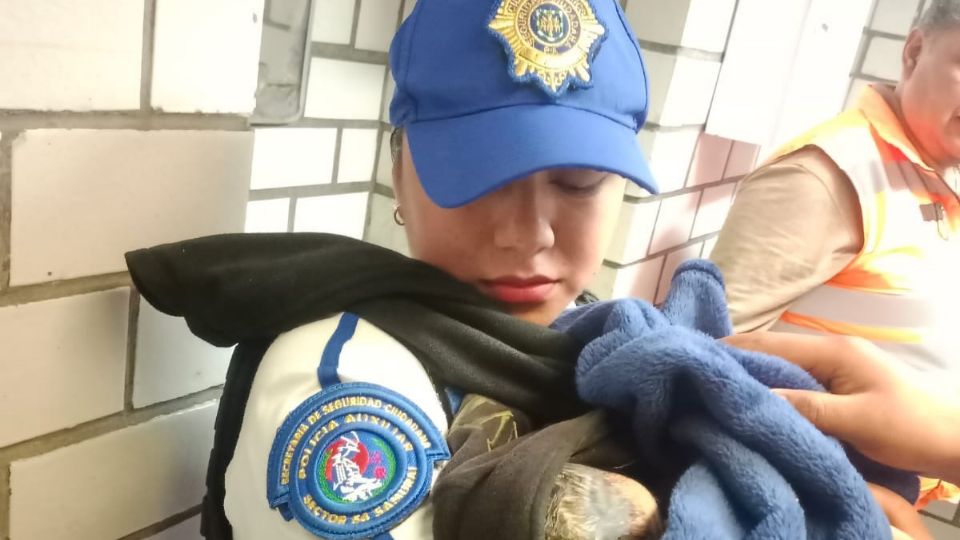 Elemento femenil de la Policía Auxiliar de la CDMX, apoyó a la mujer que presentó síntomas de parto.