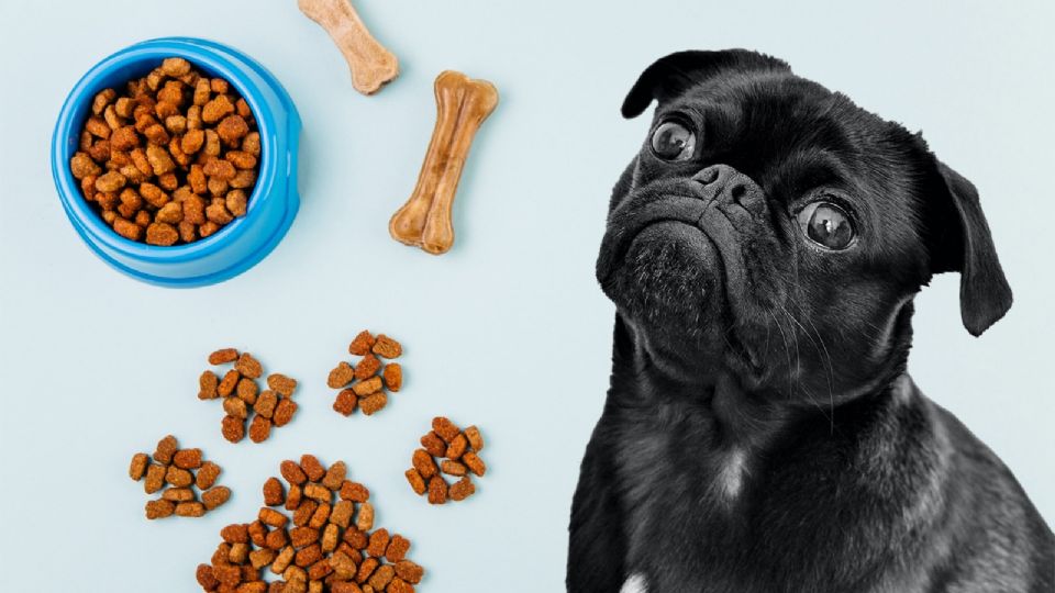 Alimento para perros en Soriana