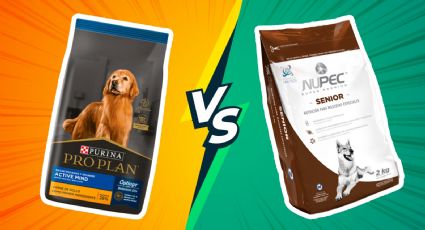 Nupec vs Pro Plan Purina: cuál marca de croquetas para perro tiene más proteína según Profeco