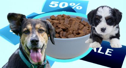 Gran Barata Liverpool: 3 marcas de croquetas para perro con 30% de descuento