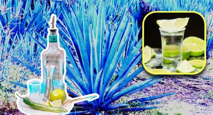 Día Internacional del Tequila: Esta es la historia de su celebración