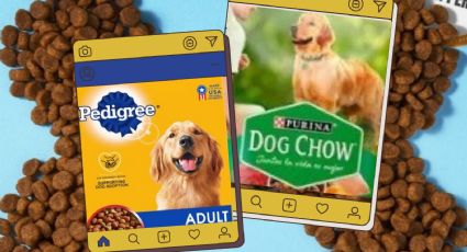 Dog Chow vs Pedigree: Esta es la mejor marca de croquetas para perro, según Profeco