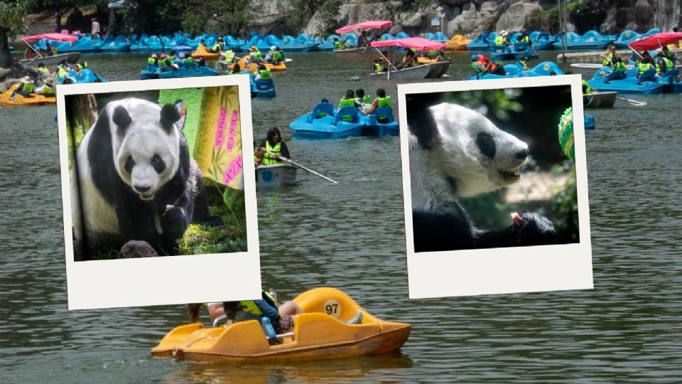 Zoológico de Chapultepec