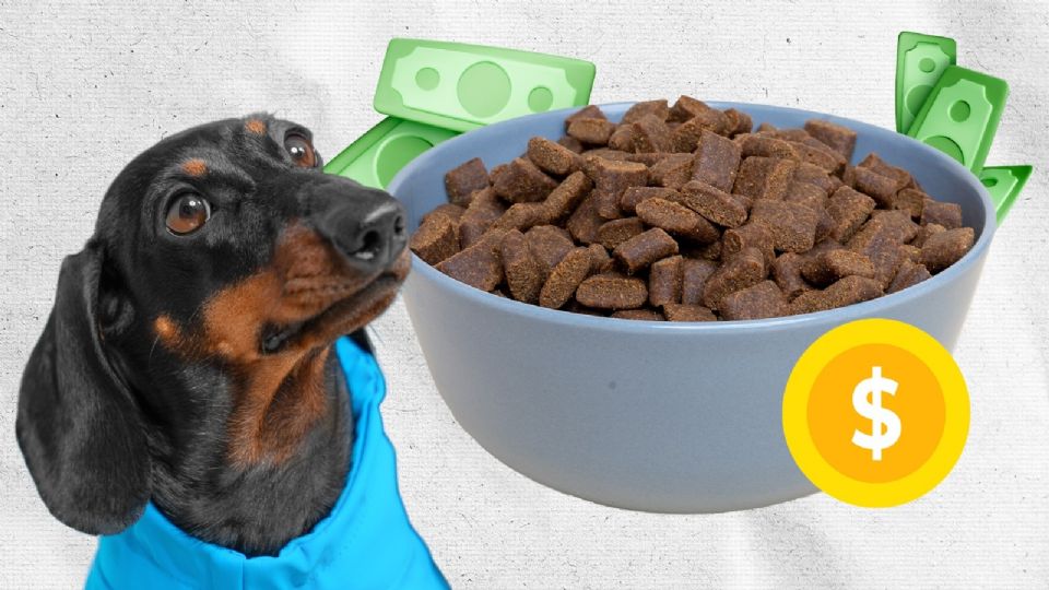 Toma en cuenta este análisis para alimentar de la mejor manera a tu perrito.