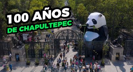 Zoológico de Chapultepec, la parada obligatoria estas vacaciones de verano