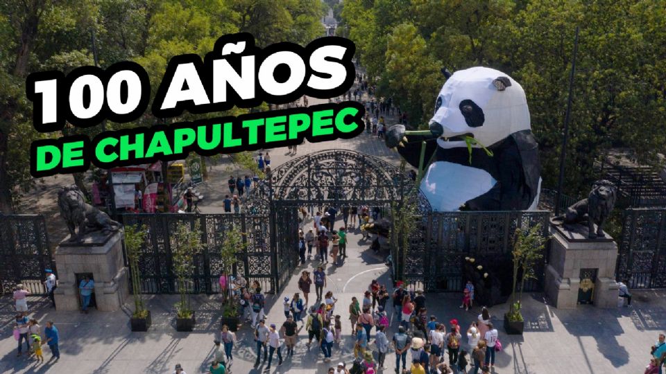 El Zoológico de Chapultepec echo la casa por la ventana.