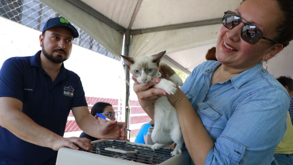 Escobedo realiza esterilización de 200 mascotas
