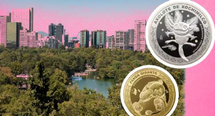 Monedas conmemorativas del Zoológico de Chapultepec: Precios, diseños y dónde comprarlas