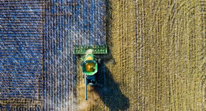 EU buscaría acelerar queja por prohibición de maíz transgénico en México