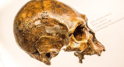 Así se ve el rostro recreado de una mujer con origen neandertal que vivió hace 45 mil años