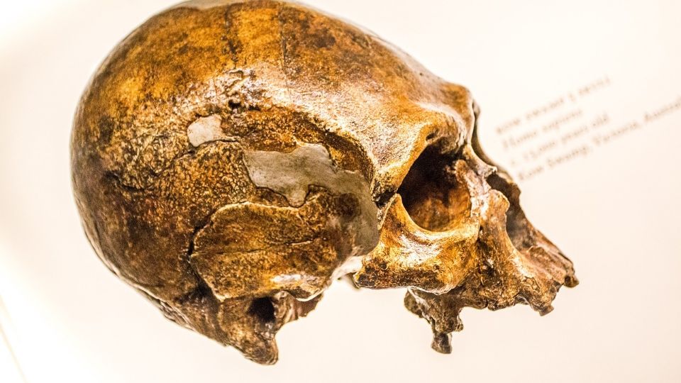 Así se ve el rostro recreado de una mujer con origen neandertal que vivió hace 45 mil años