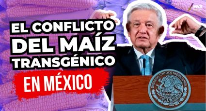 ¿AMLO está mal informado de la prohibición del maíz transgénico?