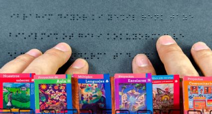 'Libros de texto gratuitos en braille y macrotipo no tienen fecha de entrega': Katia D'Artigues