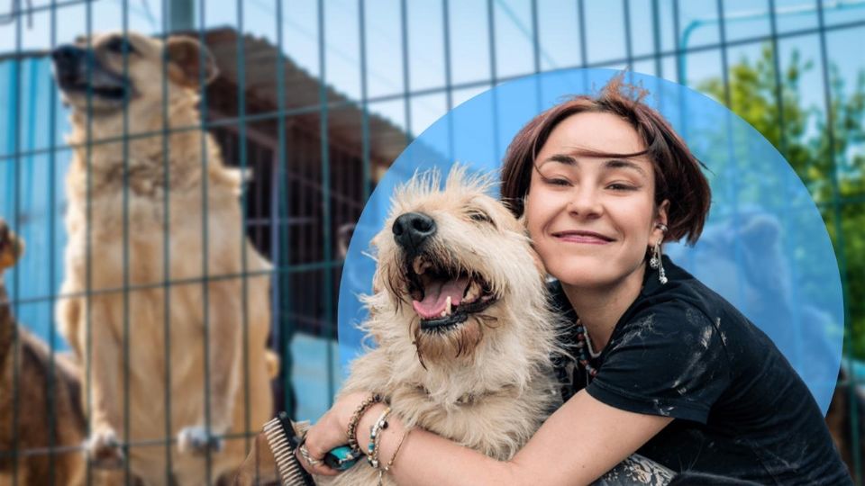 Adoptar un perro puede ser una excelente manera de conocer gente nueva y ampliar tu círculo social.