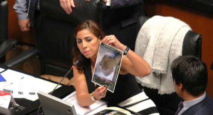 Marybel Villegas Canché se registra como candidata para presidir Mesa Directiva del Senado