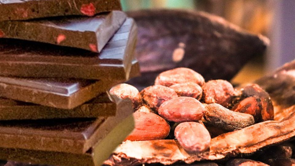 En la época prehispánica, el cacao era considerado como 'la bebida de los dioses'.