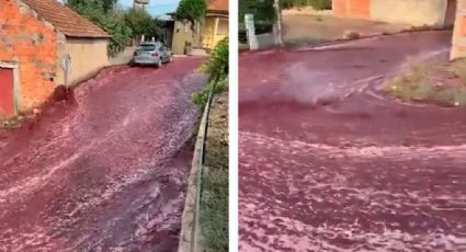 Río de vino tinto inunda las calles en un pueblo de Portugal