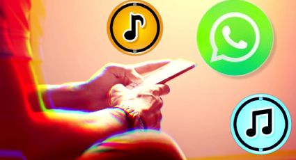 WhatsApp: ¿Cómo poner música en los estados? Te contamos