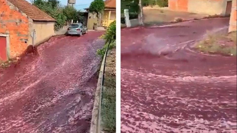 Impresionante río de vino tinto inunda las calles en un pueblo de Portugal.