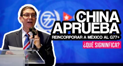 ‘G77+ no es el foro adecuado para México, nos resta independencia’: Brenda Estefan