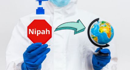 Qué es el virus de Nipah, síntomas y cómo se contagia