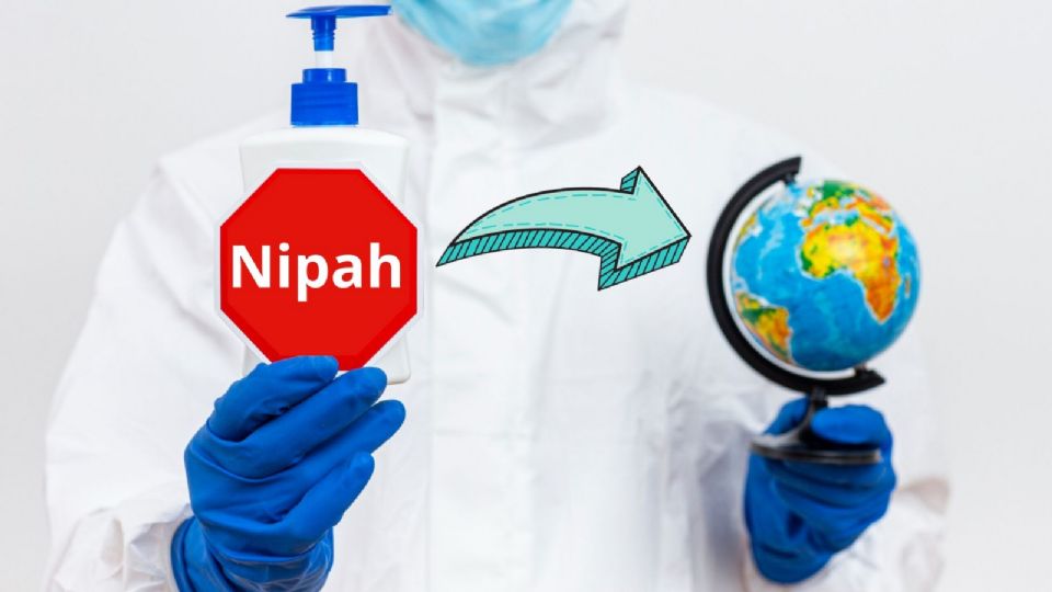 El virus de Nipah se transmite principalmente a través del contacto cercano con animales infectados o al consumir alimentos contaminados