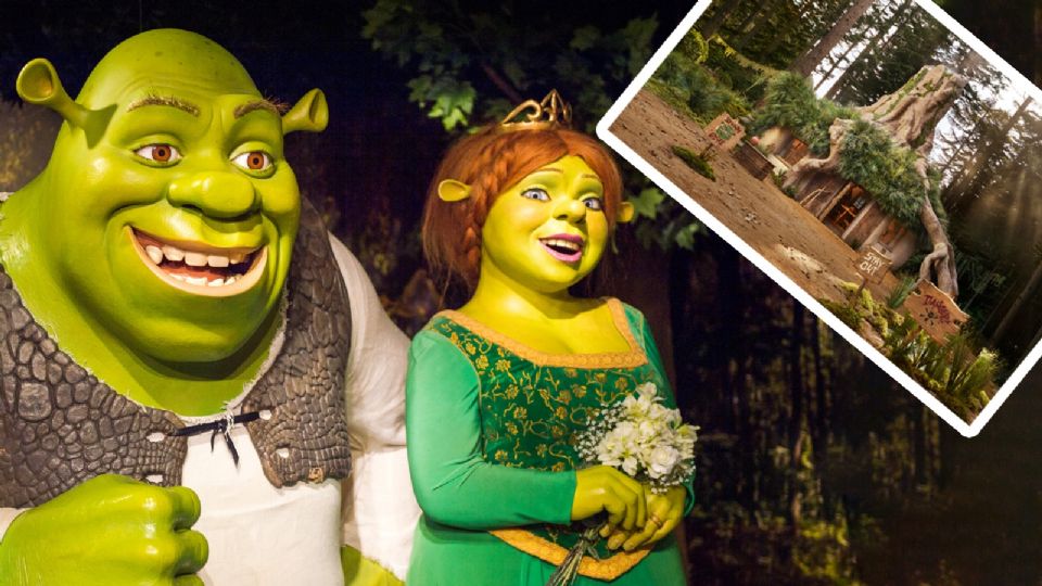 Sherk ya tiene su propio Airbnb como si fuera una replica exacta de su ciénaga.