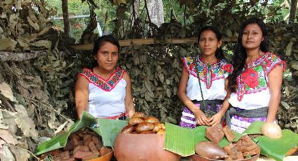 Agenda de mujeres indígenas no ha sido cumplida