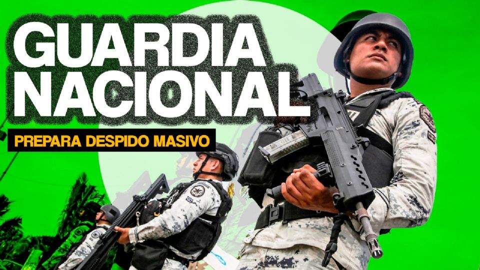 Quedan entre 5 mil y 8 mil ex policías federales.