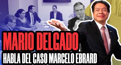 “Yo no puedo responder por la Secretaría del Bienestar”: Mario Delgado