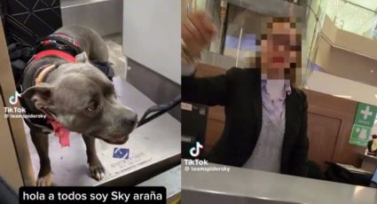 Empleada de centro comercial discrimina a Perro de Servicio en Monterrey | VIDEO