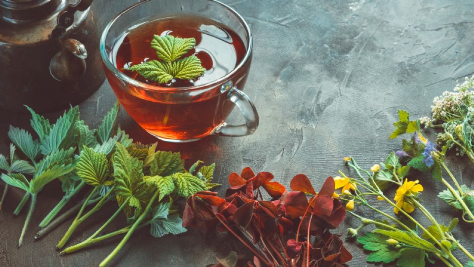 Las hierbas medicinales se pueden consumir en té.