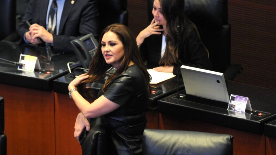 Geovanna Bañuelos, senadora por el PT.