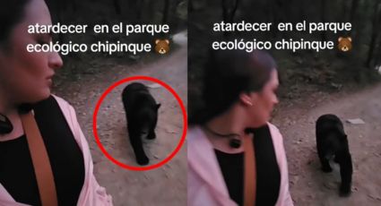 Oso persigue a joven en Parque Ecológico Chipinque | VIDEO