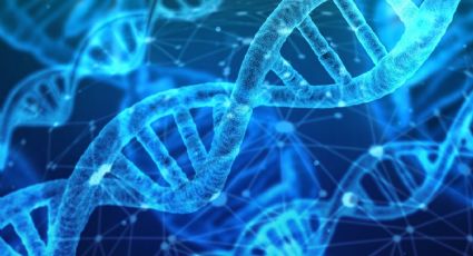 Científicos buscan identificar todas las proteínas sintetizadas por el genoma humano