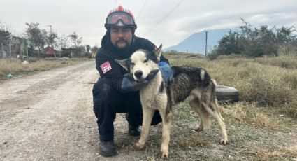 Protección Civil logra rescatar a perrito en alcantarilla de Escobedo