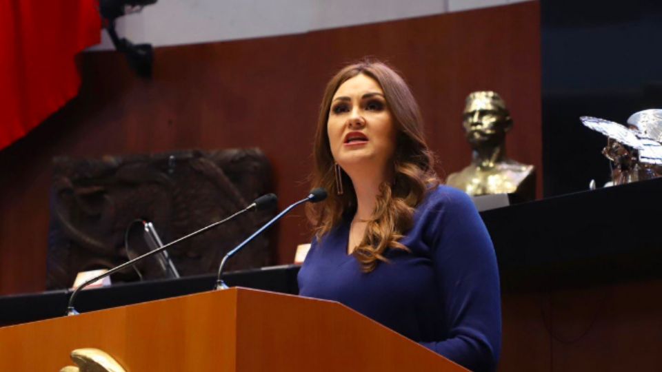 Geovanna Bañuelos, senadora del PT.