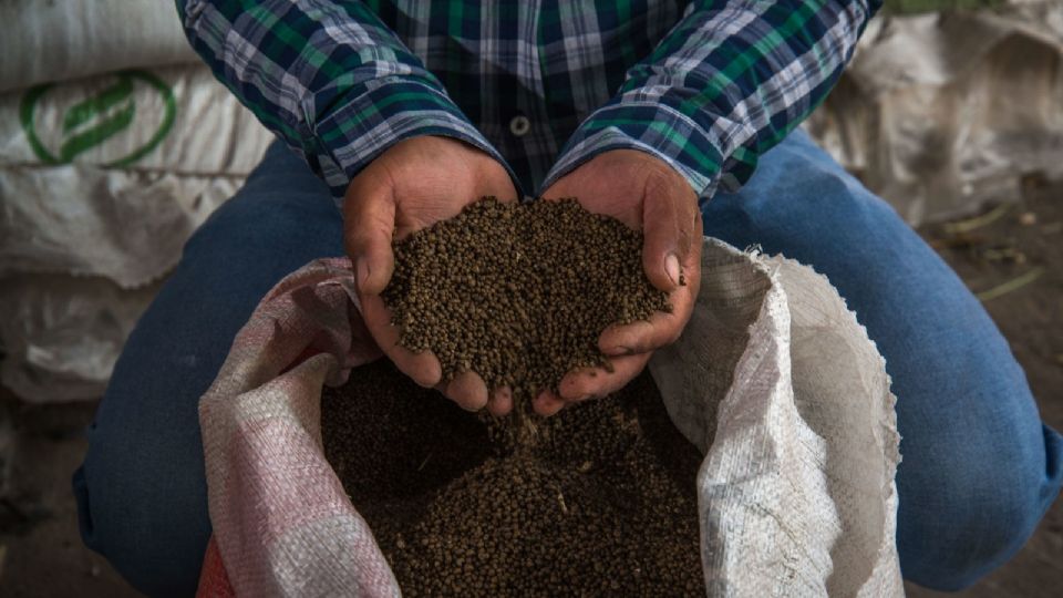 En Durango, se proporcionan alrededor de 24 mil toneladas de fertilizante de manera directa.