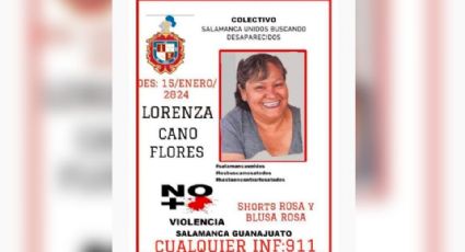 Buscadoras piden al crimen liberar a Lorenza Cano y gobierno combate opositores: Icaza