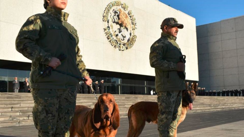 La dependencia mencionó que también se retiró del servicio activo el elemento Ecko.