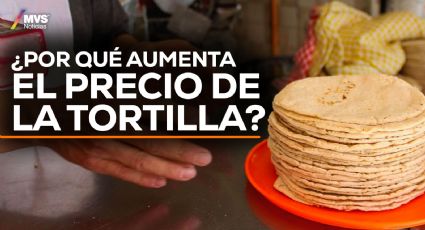 Tortillas: Por estas razones el kilo se vende hasta en 32 pesos