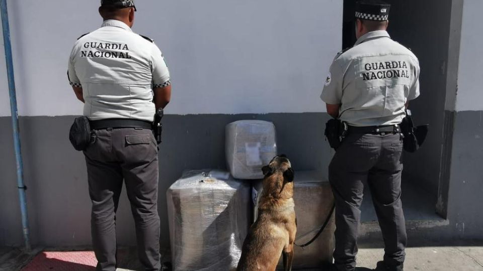 Los Guardias, con apoyo de un binomio canino, realizaron rastreos preventivos.