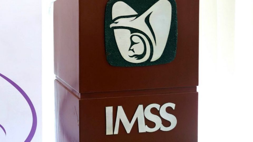 Se registraron más de 651 mil empleos en el IMSS.