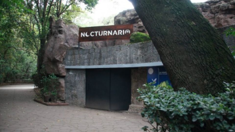 Así puedes visitar el nuevo 'Nocturnario' de Chapultepec