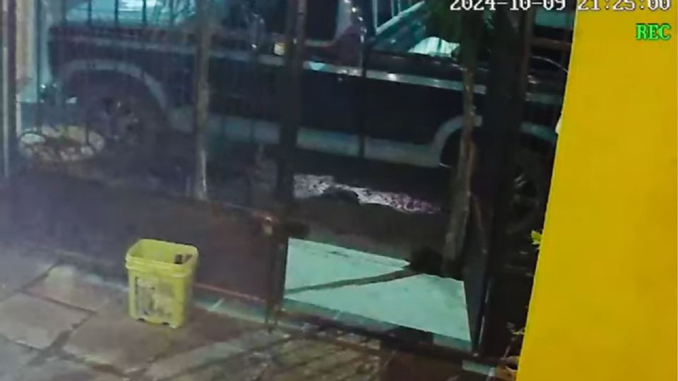 A través de redes sociales se difundieron los videos donde se escuchan las detonaciones en Real de San Joaquín.