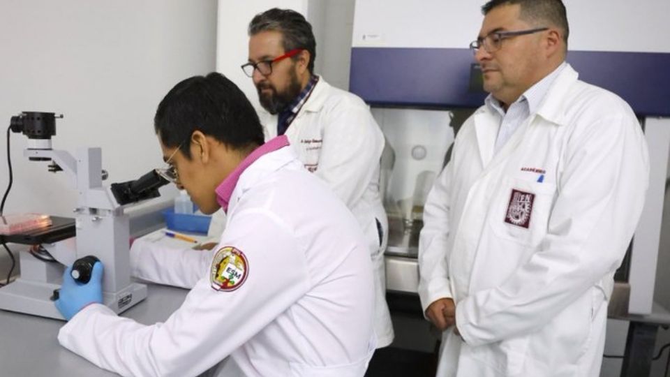 Los politécnicos buscarán a largo plazo editar las células de los pacientes en la médula ósea.